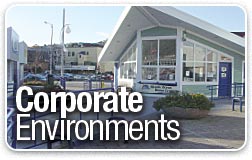 Corporate Environments